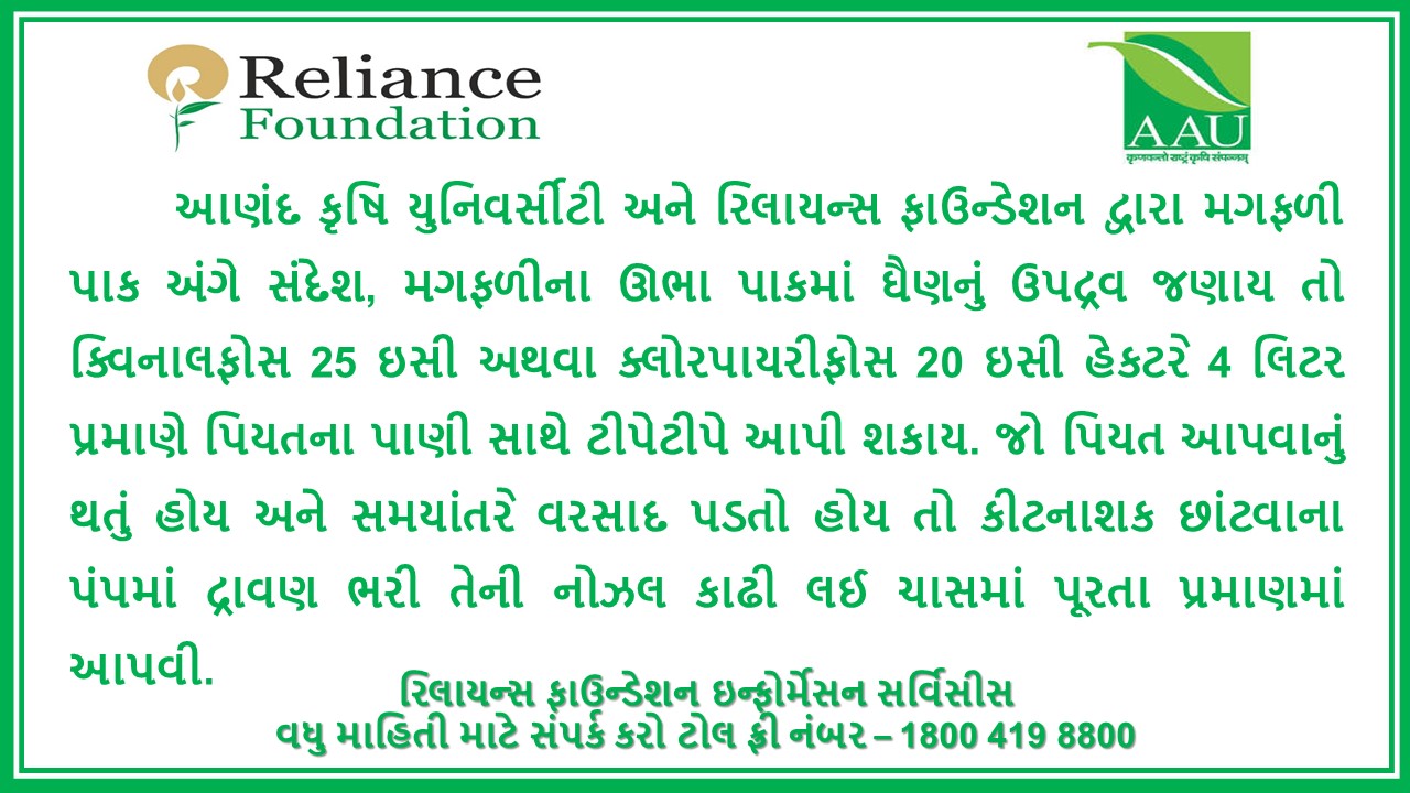 મગફળીના ઊભા પાકમાં ઘૈણના નિયંત્રણ