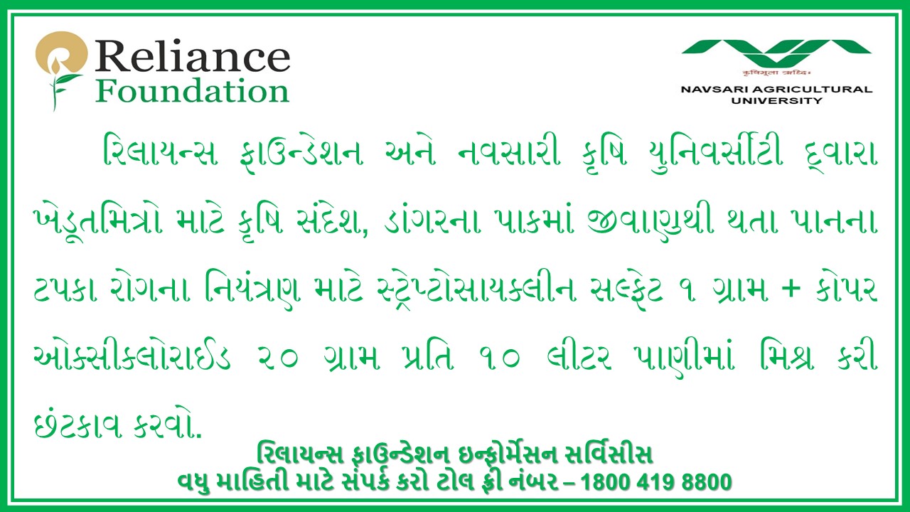 ડાંગરમાં બેક્ટેરિયલ લીફ સ્પોટના રોગોનું સંચાલન
