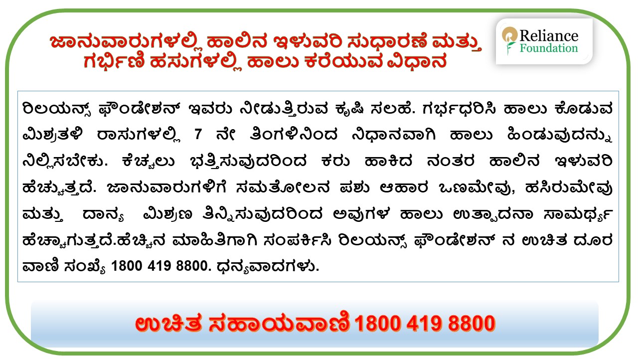 ಜಾನುವಾರುಗಳಲ್ಲಿ ಹಾಲಿನ ಇಳುವರಿ ಸುಧಾರಣೆ ಮತ್ತು ಗರ್ಭಿಣಿ ಹಸುಗಳಲ್ಲಿ ಹಾಲು ಕರೆಯುವ ವಿಧಾನ