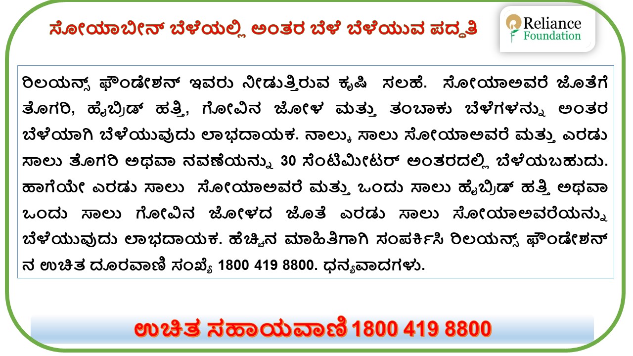 ಸೋಯಾಬೀನ್ ನಲ್ಲಿ ಅಂತರ ಬೆಳೆ ಪದ್ಧತಿ