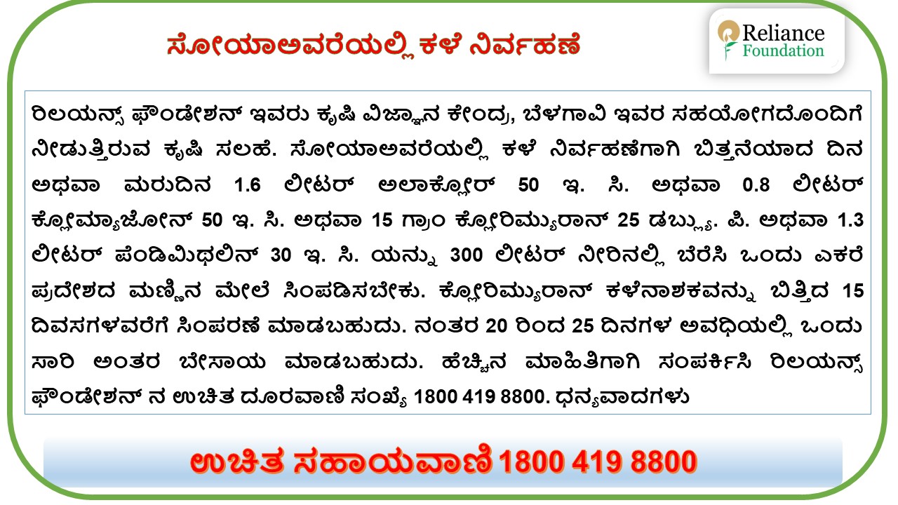 ಸೋಯಾಬೀನ್ ನಲ್ಲಿ ರಾಸಾಯನಿಕ ಕಳೆ ನಿರ್ವಹಣೆ