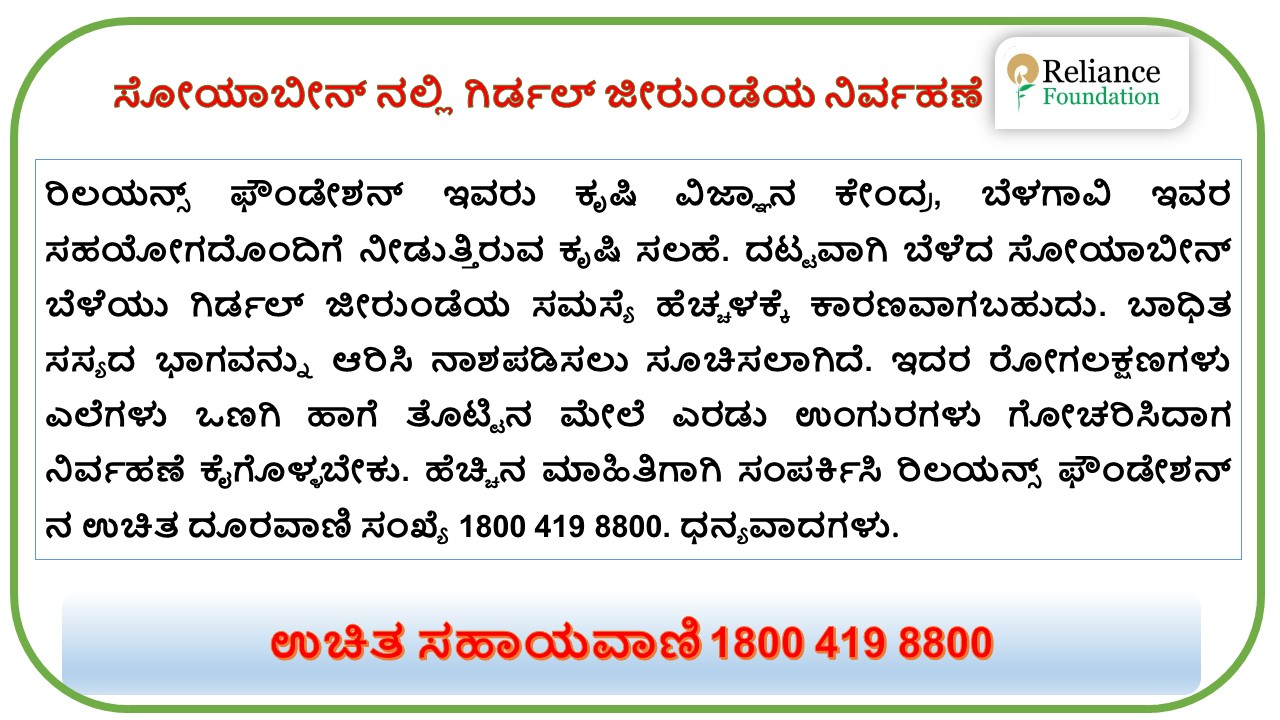 ಸೋಯಾಬೀನ್ ನಲ್ಲಿ ಗಿರ್ಡಲ್ ಜೀರುಂಡೆಯ ನಿರ್ವಹಣೆ