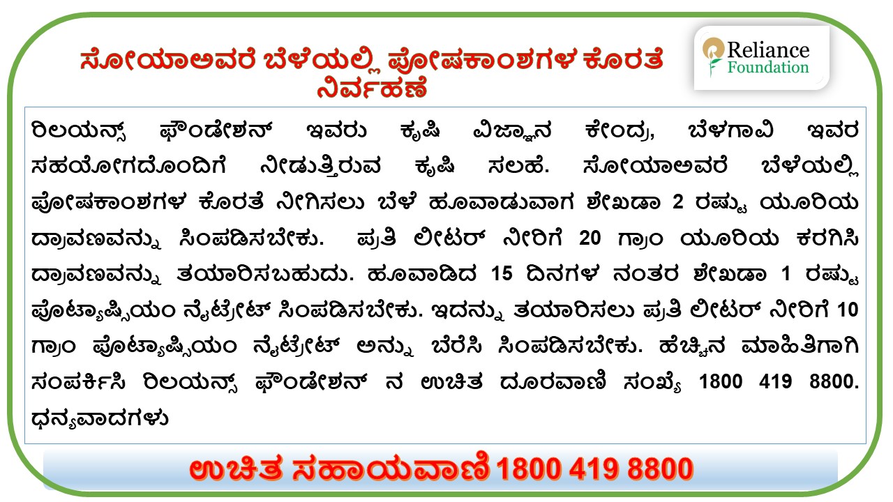 ಸೋಯಾಅವರೆ ಬೆಳೆಯಲ್ಲಿ ಪೋಷಕಾಂಶಗಳ ಕೊರತೆ ನಿರ್ವಹಣೆ