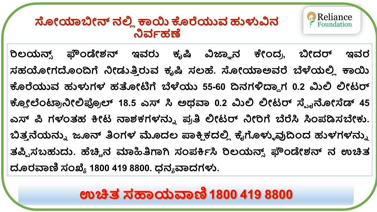 ಸೋಯಾಬೀನ್ ನಲ್ಲಿ ಬೀಜ ತುಂಬುವ ಹಂತದಲ್ಲಿ ಕಾಯಿ ಕೊರೆಯುವ ಹುಳುವಿನ ನಿರ್ವಹಣೆ