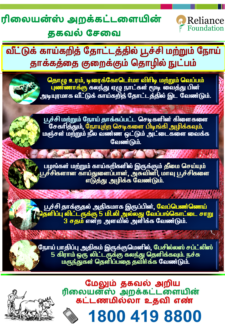 வீட்டுக் காய்கறித் தோட்டத்தில் பூச்சி மற்றும் நோய் தாக்கத்தை குறைக்கும் தொழில் நுட்பம்&nbsp;