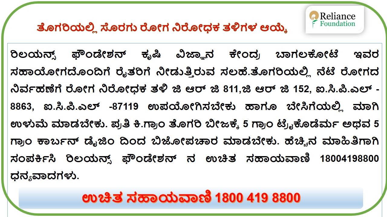 ತೊಗರಿಯಲ್ಲಿ ಸೊರಗು ರೋಗ ನಿರೋಧಕ ತಳಿಗಳ ಆಯ್ಕೆ