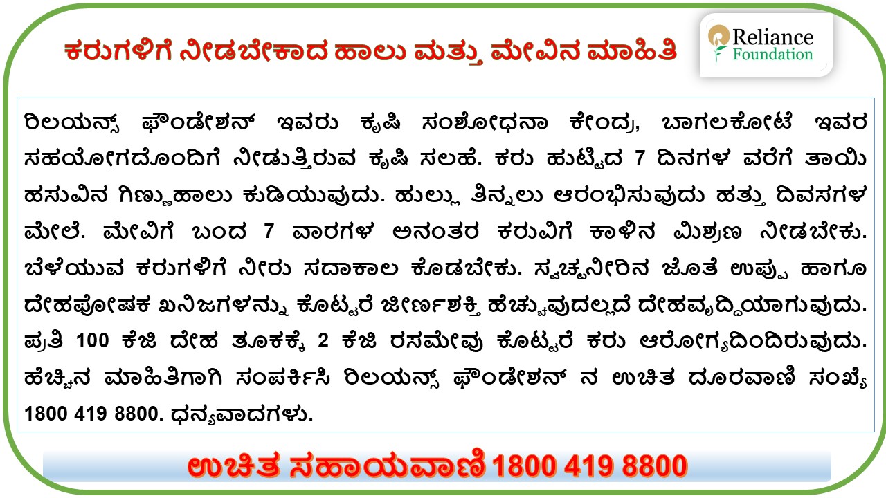 ಕರುಗಳಿಗೆ ನೀಡಬೇಕಾದ ಹಾಲು ಮತ್ತು ಮೇವಿನ ಮಾಹಿತಿ