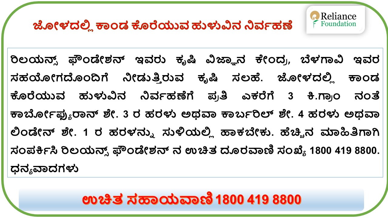 ಜೋಳದಲ್ಲಿ ಕಾಂಡ ಕೊರೆಯುವ ಹುಳುವಿನ ನಿರ್ವಹಣೆ