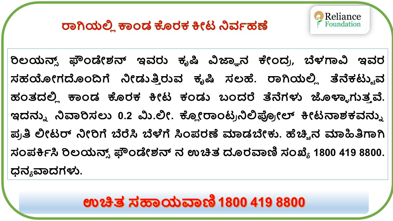 ರಾಗಿಯಲ್ಲಿ  ಕಾಂಡ ಕೊರಕ ಕೀಟ ನಿರ್ವಹಣೆ
