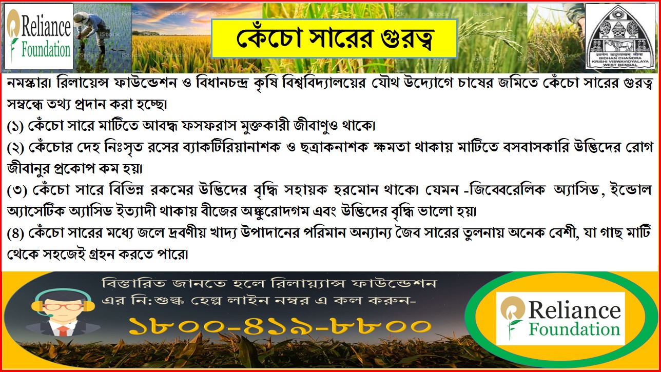 &nbsp;চাষের জমিতে কেঁচো সারের গুরত্ব