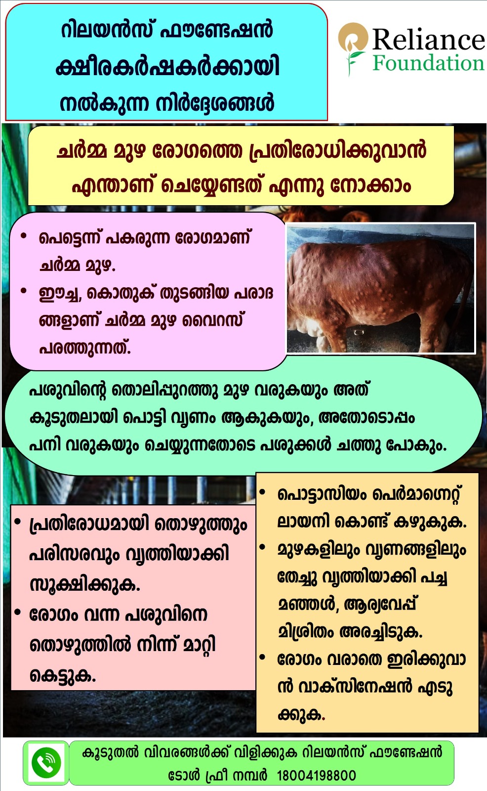 ചർമ മുഴ രോഗത്തെ പ്രതിരോധിക്കാൻ എന്താണ് ചെയ്യേണ്ടത്