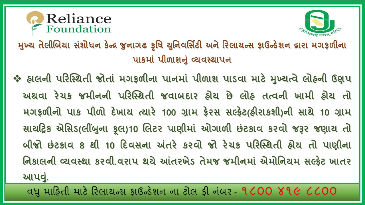 મગફળીમાં આયર્નની ઉણપનું નિયંત્રણ